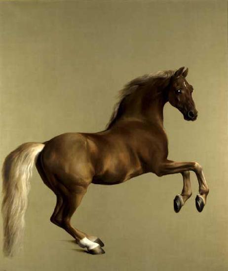 George Stubbs Whistlejacket. National Gallery, London.